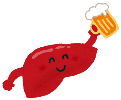 健康的な肝臓とビール