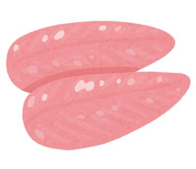 ささみ肉イメージ