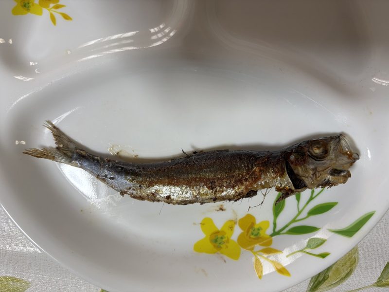 うるめいわしのグリル焼き